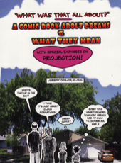What Was That All About? A Comic Book About Dreams and What They Mean, With Special Emphasis on Projection - Jeremy Taylor