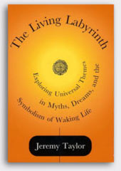 The Living Labryinth: Exploring Universal Themes in Myths, Dreams and the Symbolism of Waking Life - Jeremy Taylor